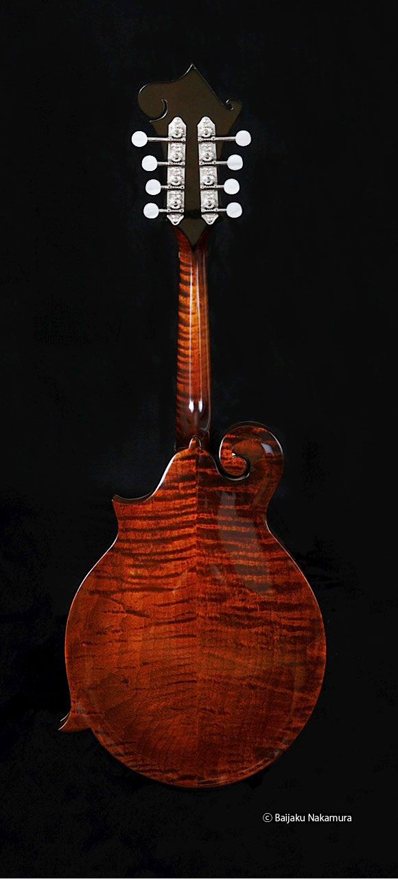 Gibson Mandolin F-5G '01 